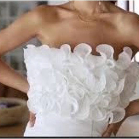 Zara Ruffled Mini Dress - Picture 3 of 3